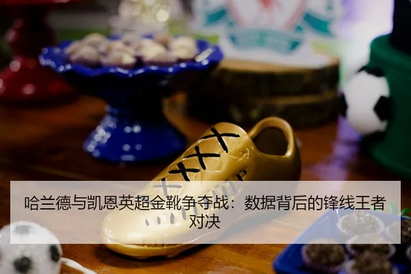 ha-lan-de-yu-kai-en-ying-chao-jin-xue-zheng-duo-zhan-shu-ju-bei-hou-de-feng-xian-wang-zhe-dui-jue-2-659.jpg