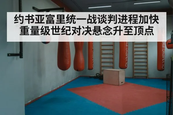 约书亚富里统一战谈判进程加快 重量级世纪对决悬念升至顶点