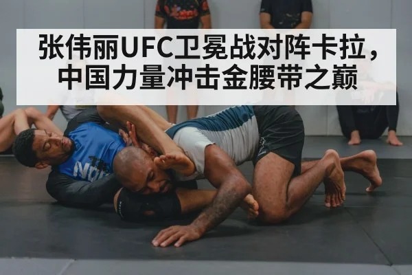 wrestling training